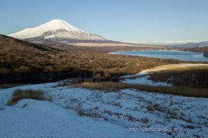 雪原から望む富士山