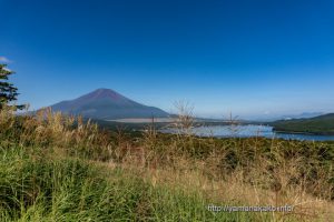 パノラマ台からススキと富士山そして山中湖