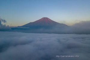 雲海に浮かぶ富士山