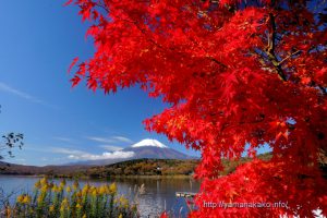 平野湖畔の紅葉と富士山