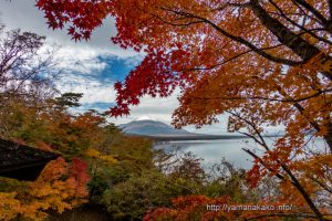 夕焼けの渚展望台横からの眺め、紅葉が見頃