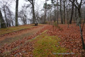 枯れ葉いっぱいの旭日丘湖畔緑地公園