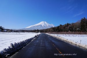 花の都公園内の県道から望む富士山