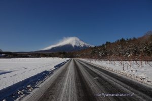 花の都公園内の県道から望む富士山