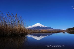 青空の下の逆さ富士