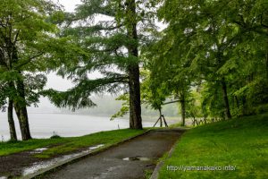 雨の旭日丘湖畔緑地公園