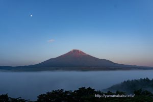 雲海の向こうに富士山