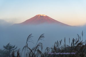 雲海に浮かぶ富士山