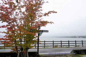 湖畔の紅葉と霧の山中湖