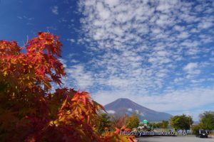 紅葉とうろこ雲