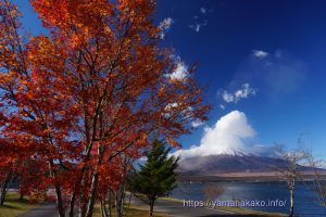 紅葉と荒天の富士山