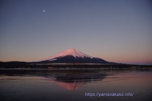 ピンク色に染まった富士山