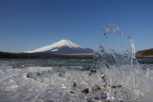 湖岸に打ち上げられた氷