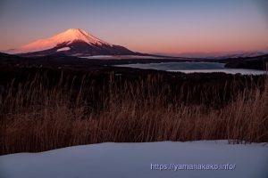 ピンクに染まった富士山