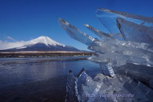 湖畔に打ち上げられた氷