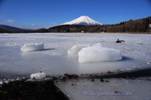 平野地区の湖を覆う氷