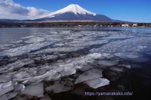 湖岸に漂着した氷と富士山