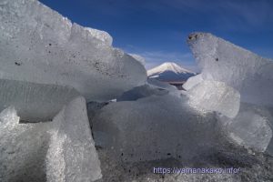 湖畔に打ち上げられた氷の隙間から富士山を望む