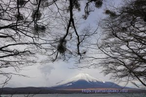 曇り空の下の富士山