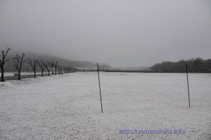 雪で真っ白になった芝生広場