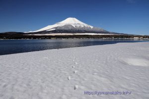 雪原の中、富士山に向かう足跡
