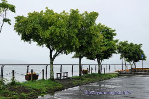 雨の山中湖