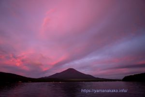 ピンク色の雲の下に富士山