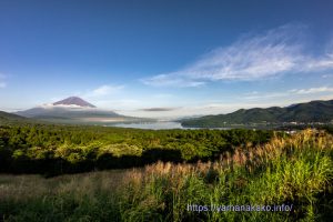 パノラマ台から望む富士山と山中湖