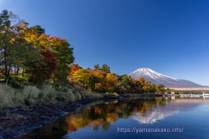 湖畔から見た紅葉と富士山