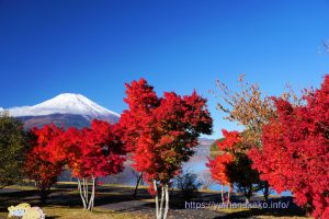 紅葉と雪化粧した富士山