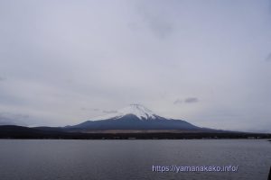 曇りだけど富士山見えてます