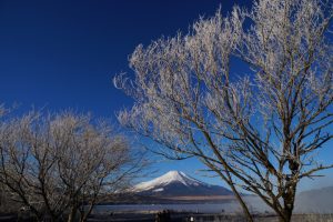 霧氷と富士山