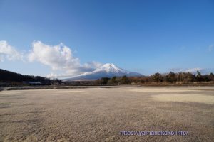 花の都公園から望む富士山