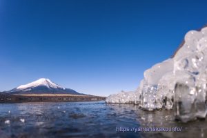湖岸の氷と富士山