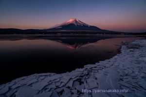 湖岸の氷と紅富士