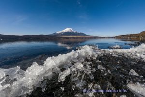 湖畔に打ち上げられた氷と富士山