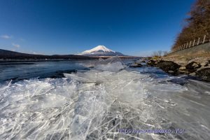 湖畔の薄氷と富士山