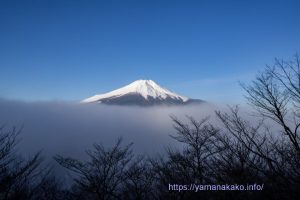 雲海越しの富士山