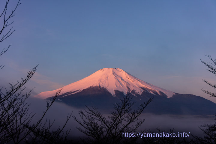 薄ピンク色の富士山