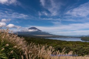 ススキと富士山＠パノラマ台
