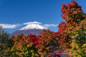 笠雲のかかる富士山と紅葉