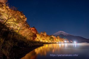 月明かりに照らされた富士山とライトアップされた紅葉