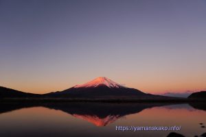 ほんのりピンク色に染まった富士山