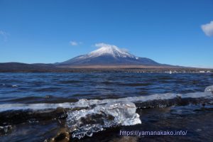 木の枝に付着し大きくなった氷