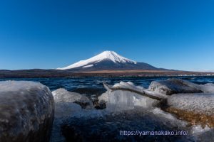 湖畔の氷と富士山