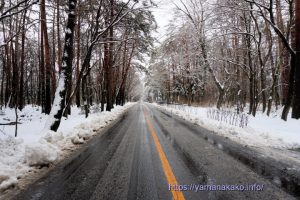まだ雪の残る道路