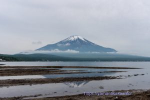 曇りだけど富士山見えました