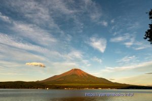 今朝はよく晴れて富士山は見えていた