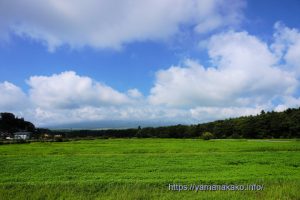 草原の花の都公園から富士山方向を望む