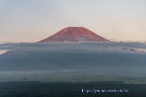 富士山頂だけ見えました